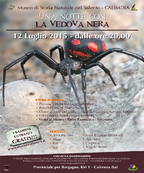 La vedova nera